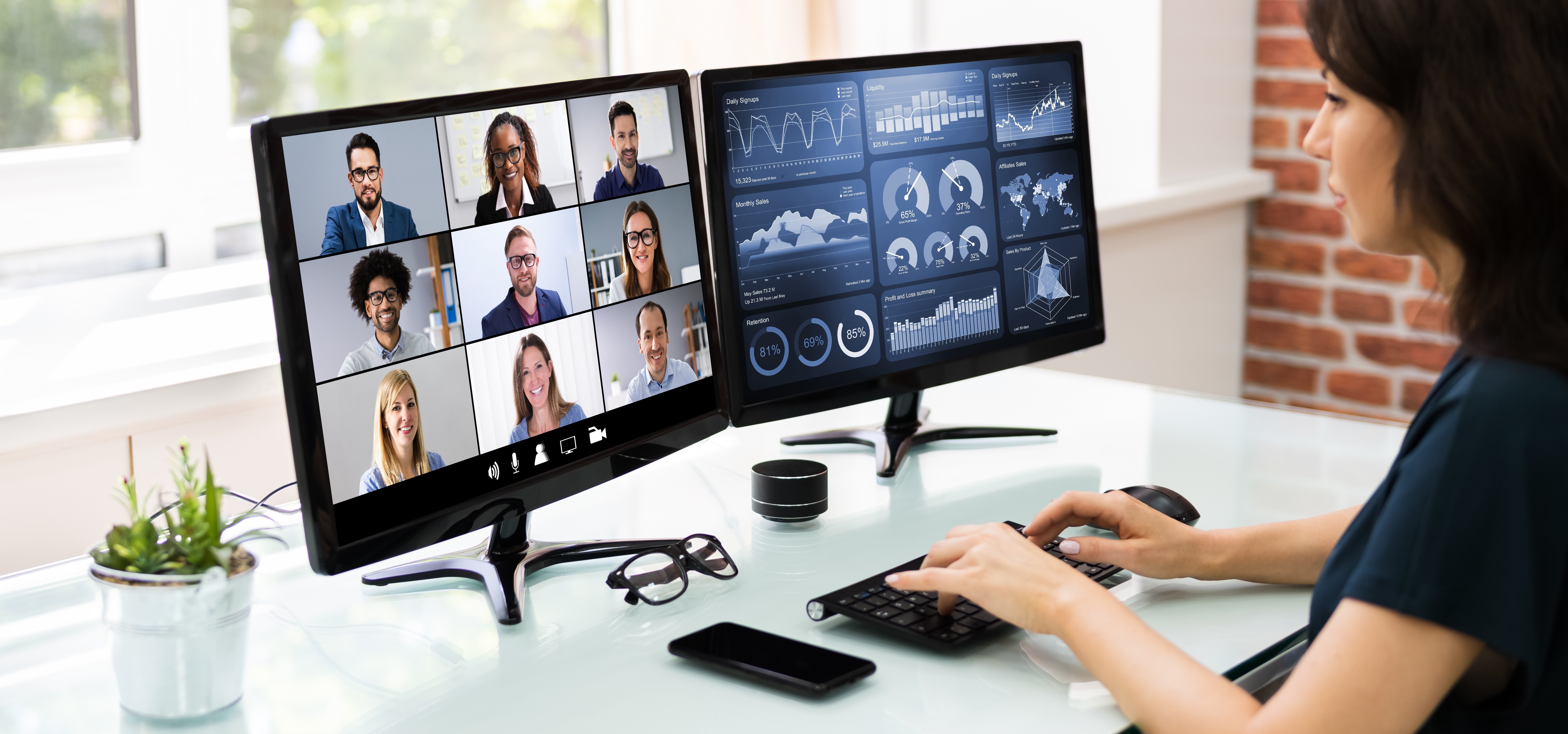 Virtual Meeting cropped