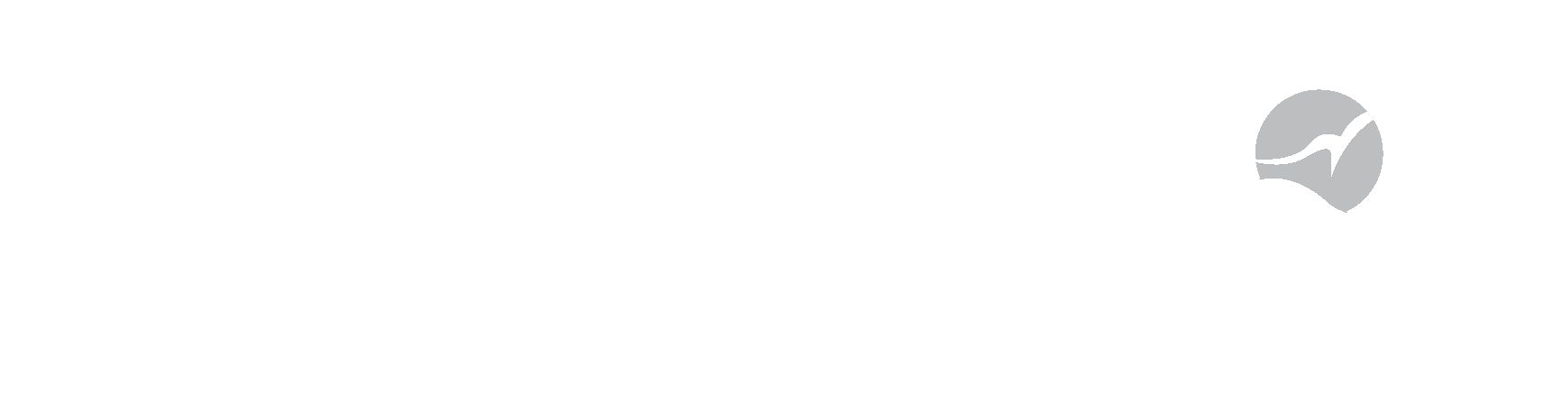 WT World Group Vacations White letter Logo